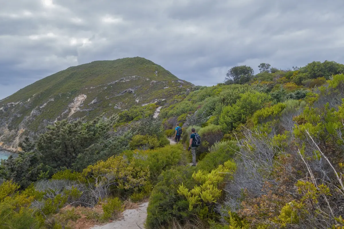 Young people walking a bush track toward a coastal hill