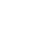 Icon-Bag